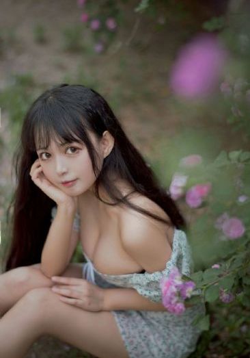 为有暗香来电视剧剧情介绍_高清免费电视剧