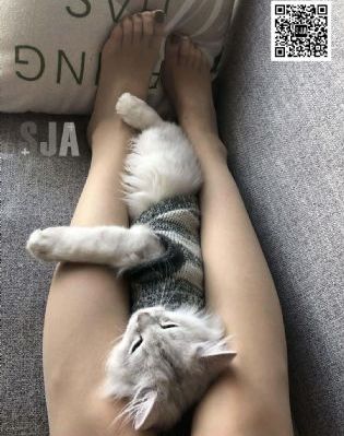 电视剧延禧攻略免费_1080P在线观看电视
