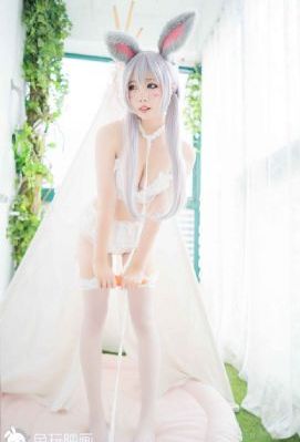 勾当红色骆驼_1080P日韩电影在线