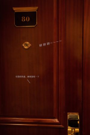 拜访者去在线观看播放电影_4K高清电影在线