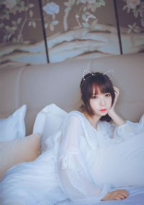 四叶草免费视频_DVD高清完整版